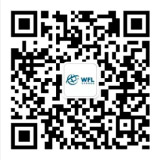 WeChat Official Accounts